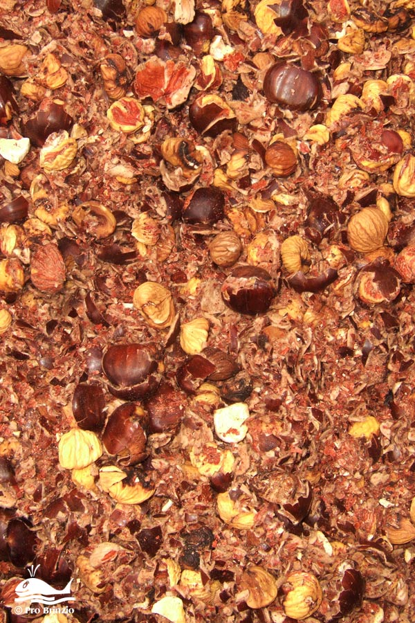 Il risultato della battitura delle castagne Il risultato della battitura delle castagne
