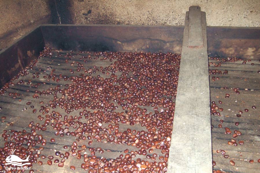 Le castagne disposte sul graticcio Le castagne disposte sul graticcio